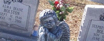 Alma Diane Holston Alma Diane Holston
