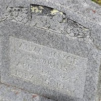 Alma Joyce Hawkins