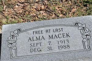 Alma Macek