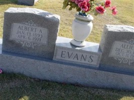 Mary Almeda "Allie" Grady Evans