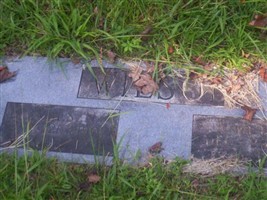 Almeta Forney Wilson