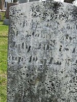 Almina Kimball McAdams