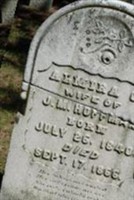 Almira C Hoffman