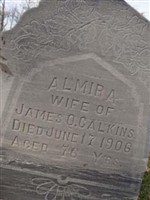 Almira Calkins