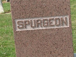 Almira Rees Spurgeon