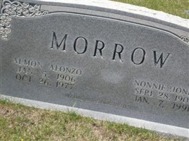 Almon Alonzo Morrow