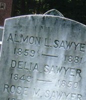 Almon Libbey Sawyer