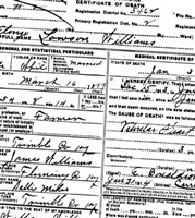 Alonzo Lawson Williams Alonzo Lawson Williams