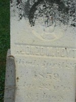 Alonzo M Hoyt