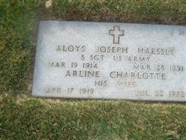 Aloys J Haessly