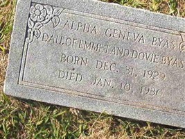 Alpha Geneva Bayas Alpha Geneva Bayas