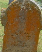 Alpha Hart Alpha Hart