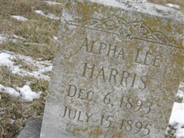 Alpha Lee Harris Alpha Lee Harris