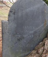 Alpheus Harding