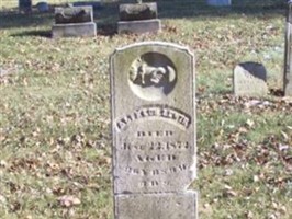 Alpheus Lewis