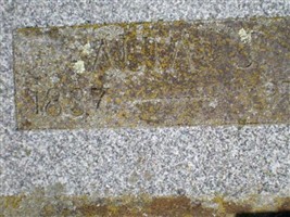 Alta Jane Marble