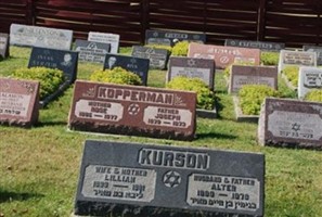 Alter Kurson