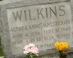 Althea Anne Wilkins