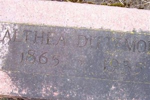 Althea Dittemore