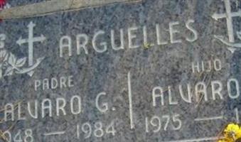 Alvaro G Arguelles