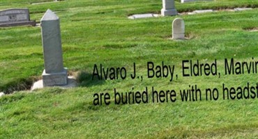 Alvaro J Bushman Alvaro J Bushman