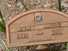 Alvin Amodei