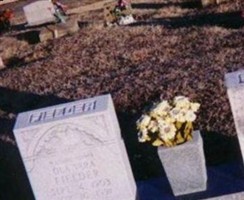 Alvin B. Fielder