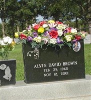 Alvin David Brown
