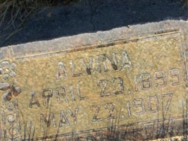 Alvina Bradley Alvina Bradley