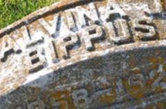 Alvina J Bippus Scheila Alvina J Bippus Scheila
