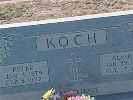 Alvina Nester Koch Alvina Nester Koch