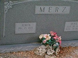 Alwin Merz