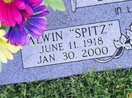 Alwin Spitz Koester