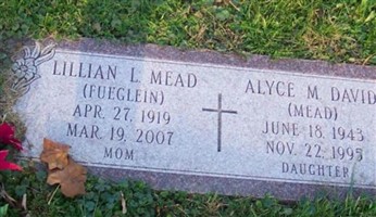 Alyce M Mead David