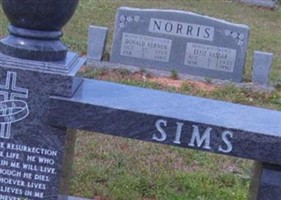 Alyce Noonan Sims
