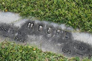Alzona Vannoy Moore