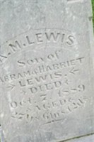A M Lewis A M Lewis