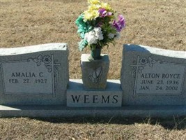AMALIA C WEEMS AMALIA C WEEMS