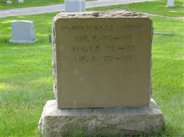 Amalia F. Anderson