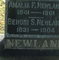 Amalia F Newland