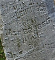 Amalia J Behringer Amalia J Behringer
