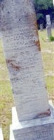 Amalia S.F. Feldman