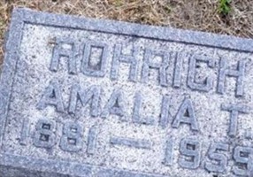 Amalia T. Miksch Rohrich