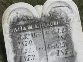 Amalia W.A. Oestreich