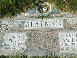 Amalija Tersinar Blatnick