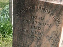Amanda Anderson