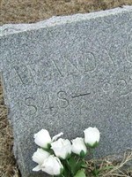 Amanda C Cowan