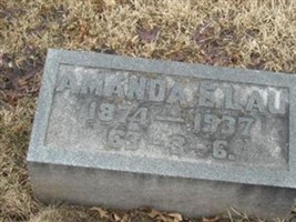Amanda Elizabeth Reynolds Lau