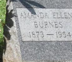 Amanda Ellen Burnes