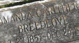 Amanda Gertrude Carithers Breedlove